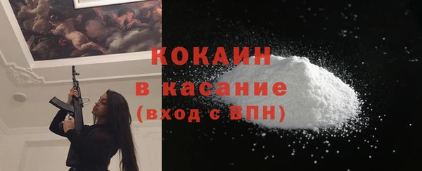 индика Алексин