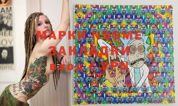 индика Алексин
