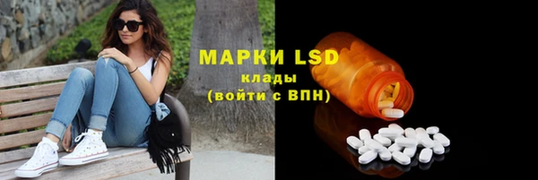 индика Алексин